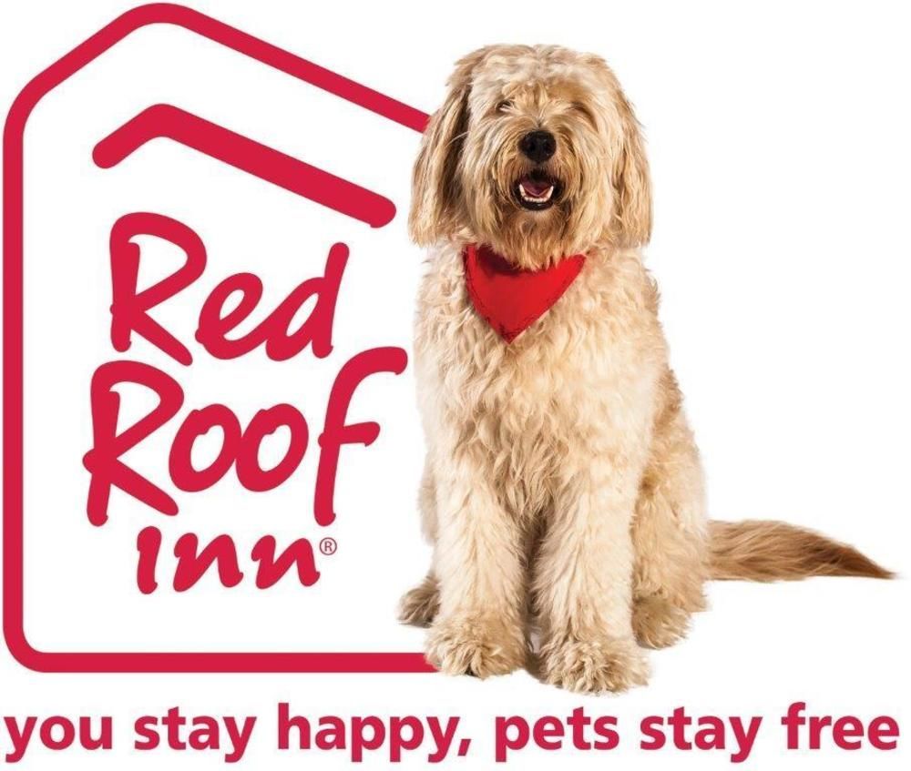 Red Roof Inn Plus+ Austin South Luaran gambar